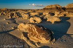 Cracked Eggs, Egg Factory, Bisti Badlands, Wilderness, New Mexico, USA